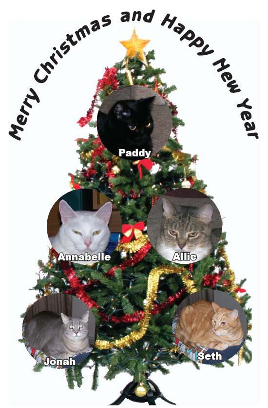 Front of Card